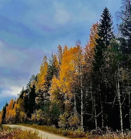 Hotel Kaetkae Tervola