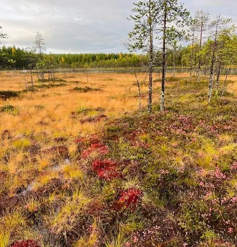Kaetkae 泰尔沃拉